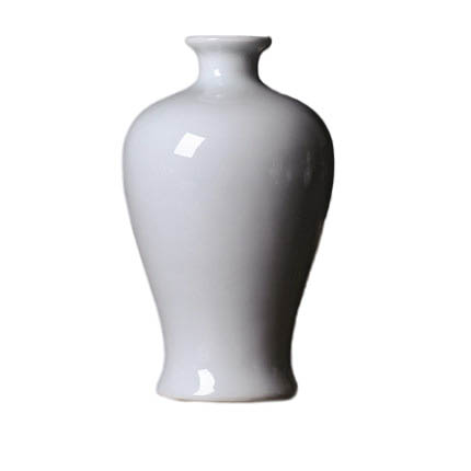 Compatible porzellan Jahrriesnge  for pure white vase cna0762 