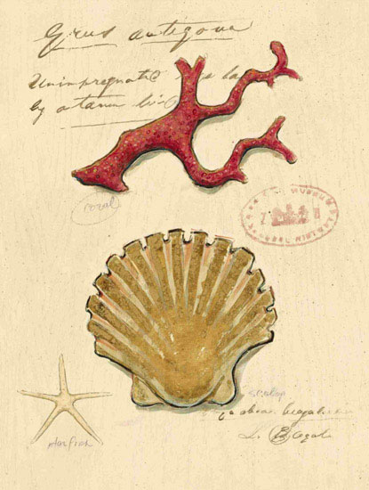 Compatible Stillleben Jahrriesnge  for shell-lpf00196 