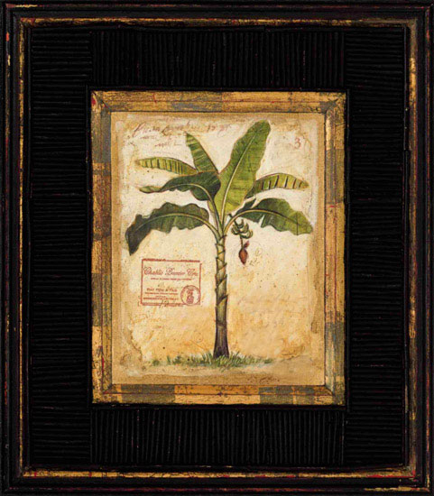 Compatible Stillleben Jahrriesnge  for banana-tree-lpf00450 