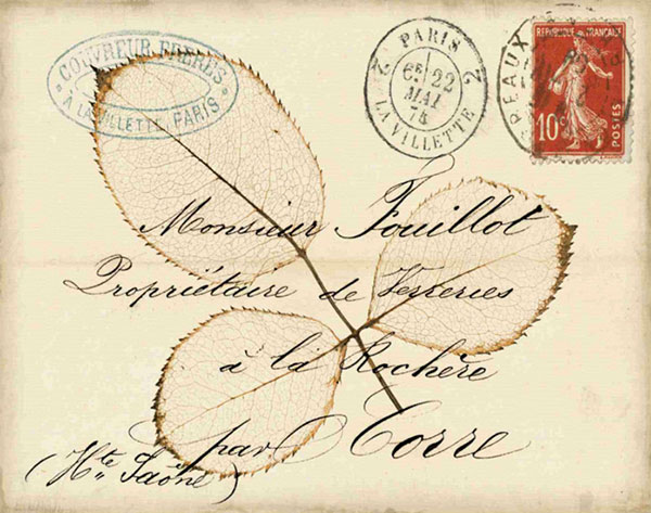 Compatible Stillleben Jahrriesnge  for leaf-lpf00489 