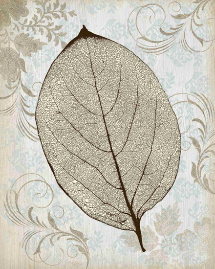 Compatible Stillleben Jahrriesnge  for leaf-lpf00492 