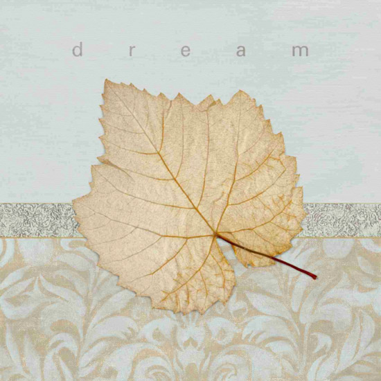 Compatible Stillleben Jahrriesnge  for leaf-lpf00495 