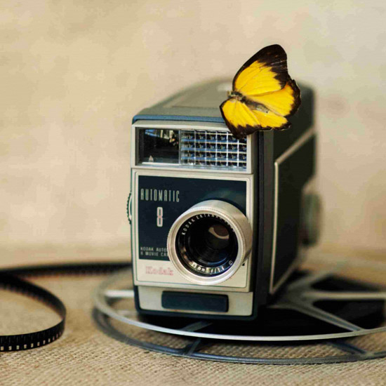 Compatible Stillleben Jahrriesnge  for untitle-lpf00524 