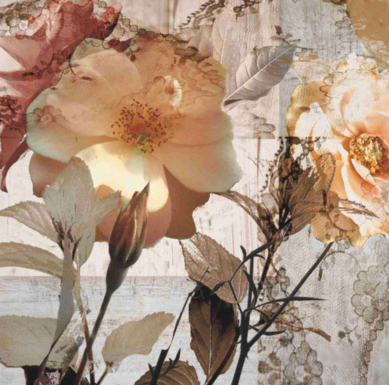 Compatible Blumen JAHRRIESNGE  for flower-lpf00558 