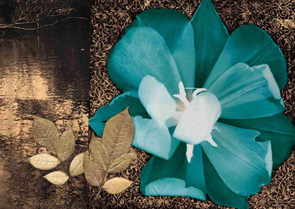 Compatible Blumen JAHRRIESNGE  for flower-lpf00567 