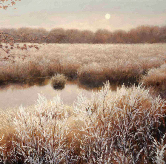 Compatible Landschaft JAHRRIESNGE  for pond-lpf00647 