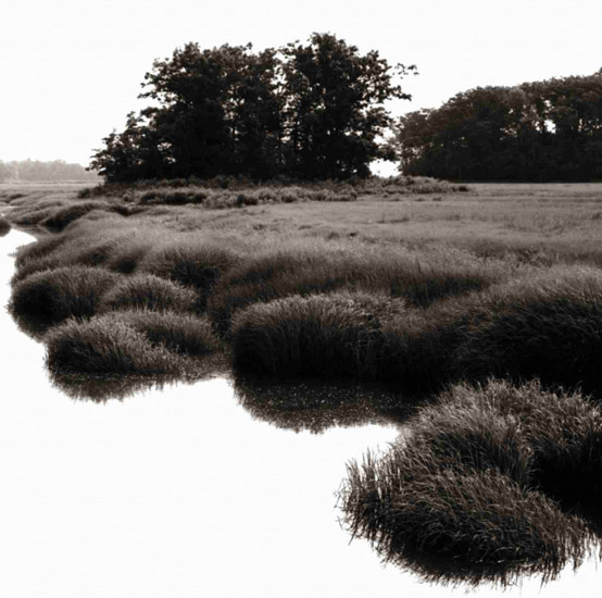 Compatible Landschaft JAHRRIESNGE  for untitle-lpf00775 