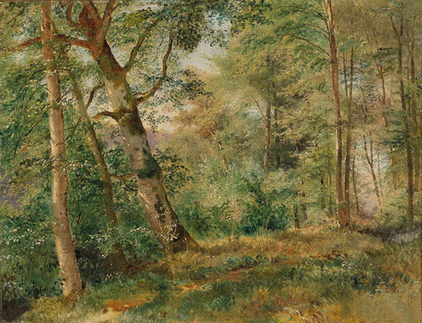 Compatible Landschaft JAHRRIESNGE  for tree-lpf01471 