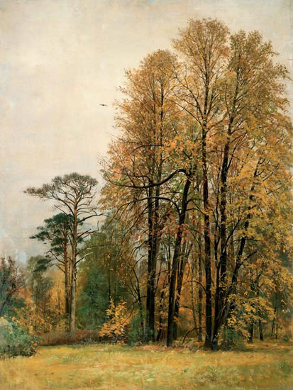 Compatible Landschaft JAHRRIESNGE  for tree-lpf01699 