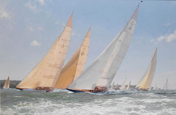 Compatible Landschaft JAHRRIESNGE  for sea-lpf01946 