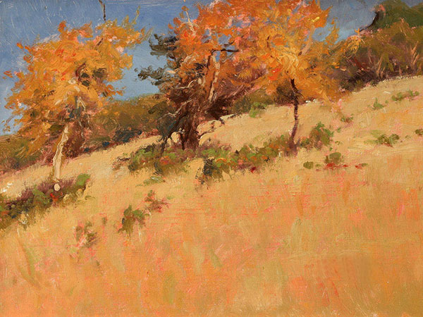 Compatible Landschaft JAHRRIESNGE  for tree-lpf02032 