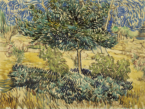 Compatible Landschaft JAHRRIESNGE  for tree-lpf02474 