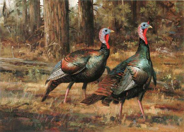 Compatible Tiere Jahrriesnge  for Turkey-lpf02526 