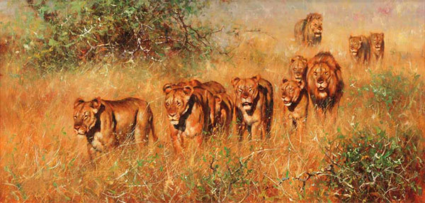 Compatible Tiere Jahrriesnge  for lion-lpf02536 