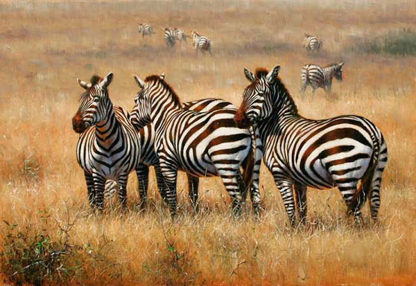 Compatible Tiere Jahrriesnge  for African-Zebra-lpf02545 