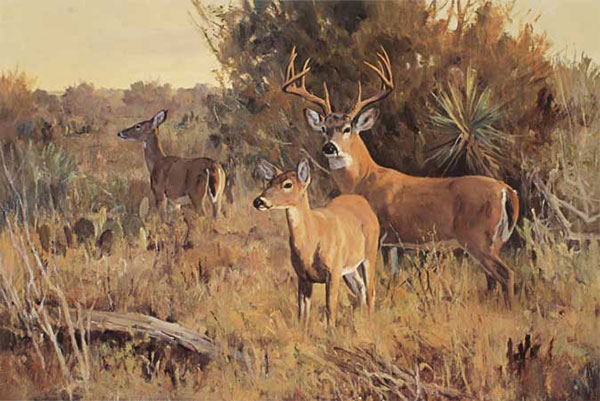 Compatible Tiere Jahrriesnge  for deers-lpf02559 