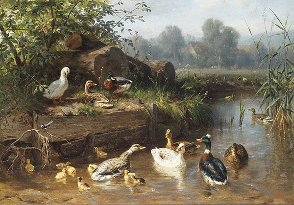 Compatible Tiere Jahrriesnge  for duck-lpf02588 