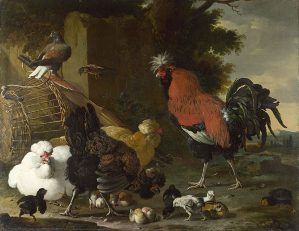 Compatible Tiere Jahrriesnge  for chicken-lpf02599 