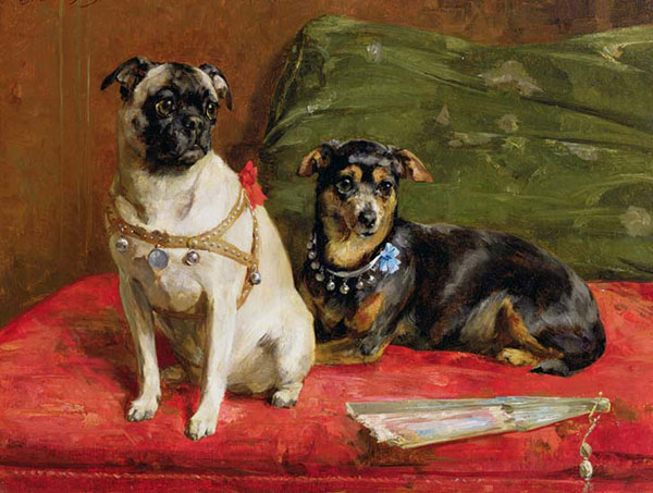 Compatible Tiere Jahrriesnge  for dog-lpf02631 