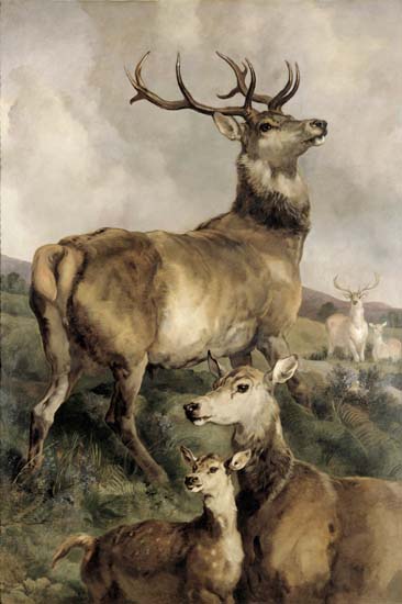 Compatible Tiere Jahrriesnge  for mammals-lpf02656 