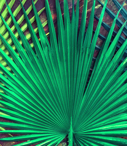 Compatible Blumen JAHRRIESNGE  for pu kui lpf04591 