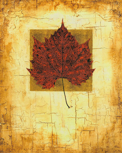 Compatible Blumen JAHRRIESNGE  for leaf lpf04636 