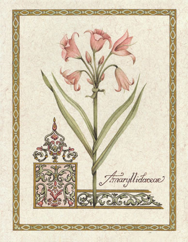 Compatible Blumen JAHRRIESNGE  for flower lpf04735 