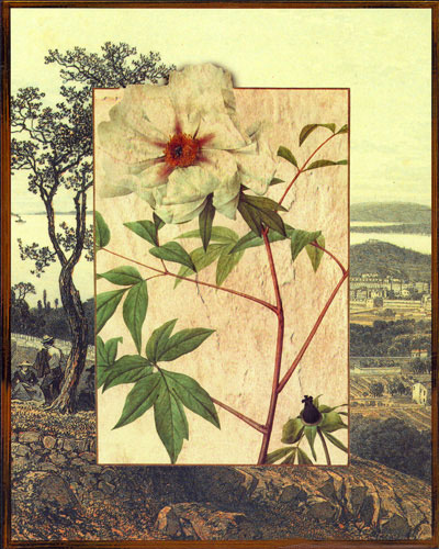 Compatible Blumen JAHRRIESNGE  for flowers lpf04827 