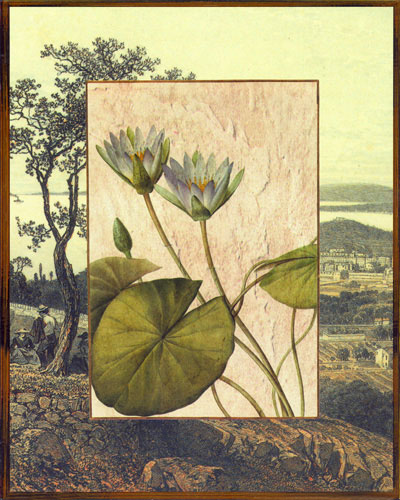 Compatible Blumen JAHRRIESNGE  for flowers lpf04828 