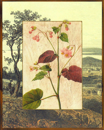 Compatible Blumen JAHRRIESNGE  for flowers lpf04829 