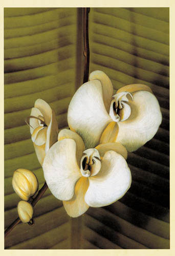 Compatible Blumen JAHRRIESNGE  for flowers lpf04907 