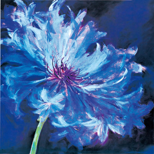 Compatible Blumen JAHRRIESNGE  for flower lpf05034 