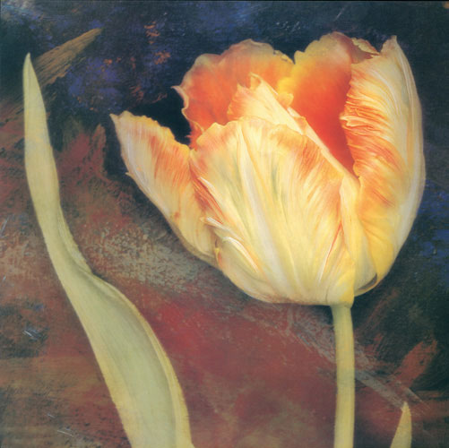 Compatible Blumen JAHRRIESNGE  for flowers lpf05247 