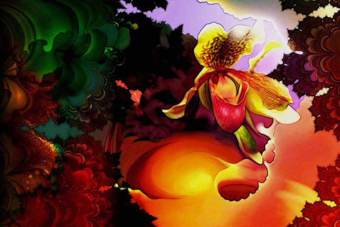 Compatible Abstrakt Jahrriesnge  for colorful-lpf05928 