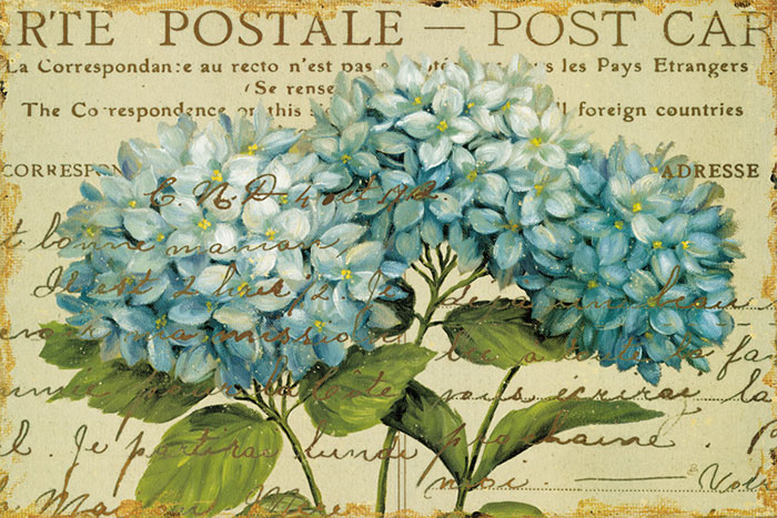 Compatible Blumen JAHRRIESNGE  for flowers-lpf06628 