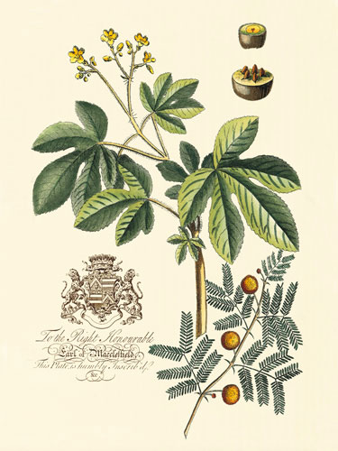 Compatible Blumen JAHRRIESNGE  for flowers-lpf06644 