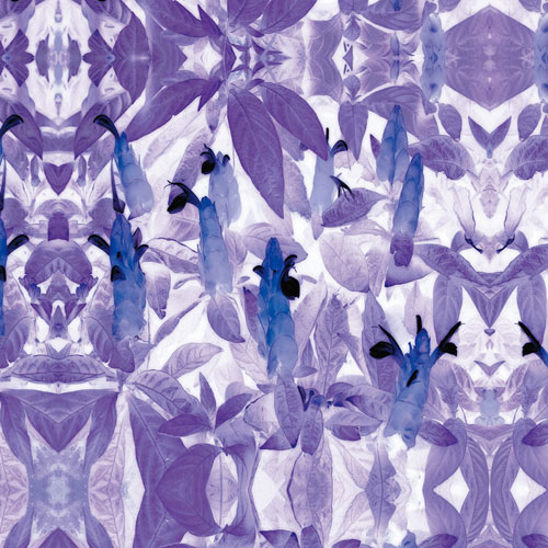 Compatible Blumen JAHRRIESNGE  for flowers-lpf06741 