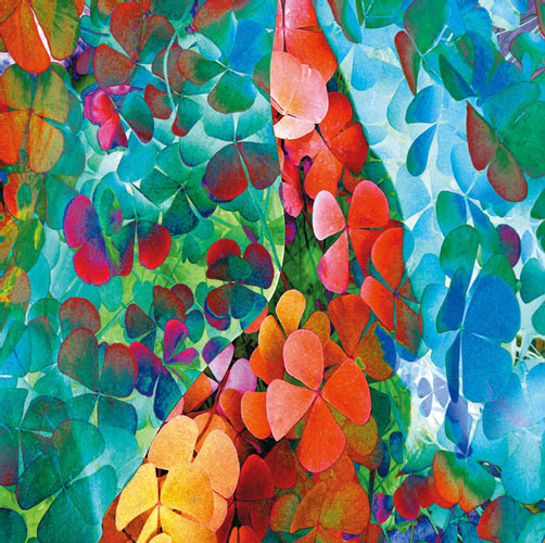 Compatible Blumen JAHRRIESNGE  for flowers-lpf06742 