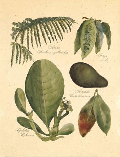 Compatible Blumen JAHRRIESNGE  for flowers-lpf06747 