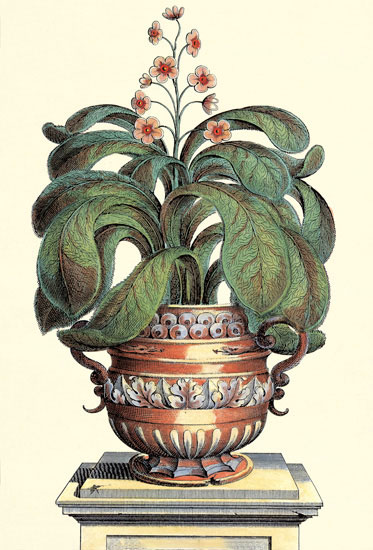 Compatible Blumen JAHRRIESNGE  for flowers-lpf06775 