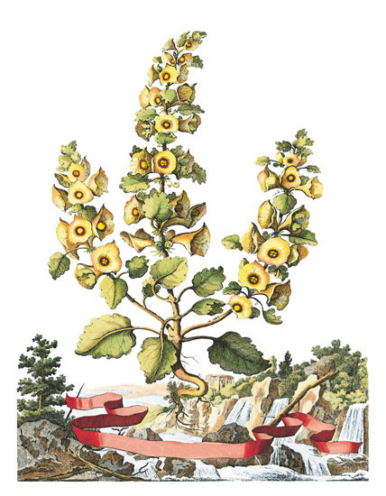 Compatible Blumen JAHRRIESNGE  for flowers-lpf06790 