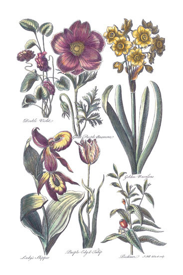 Compatible Blumen JAHRRIESNGE  for flowers-lpf06818 