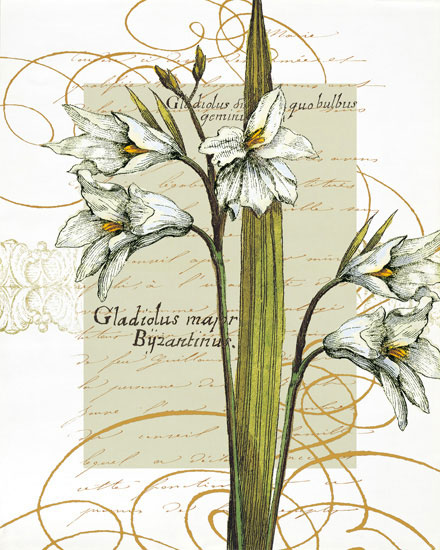 Compatible Blumen JAHRRIESNGE  for flowers-lpf06821 