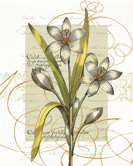 Compatible Blumen JAHRRIESNGE  for flowers-lpf06823 