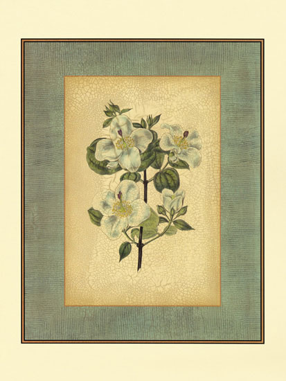 Compatible Blumen JAHRRIESNGE  for flowers-lpf06837 