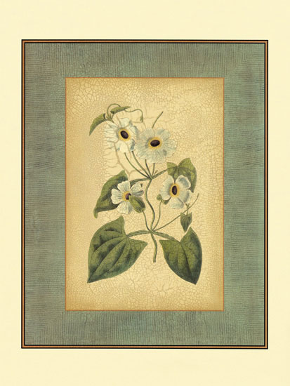 Compatible Blumen JAHRRIESNGE  for flowers-lpf06838 