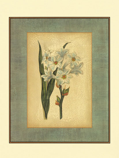 Compatible Blumen JAHRRIESNGE  for flowers-lpf06840 