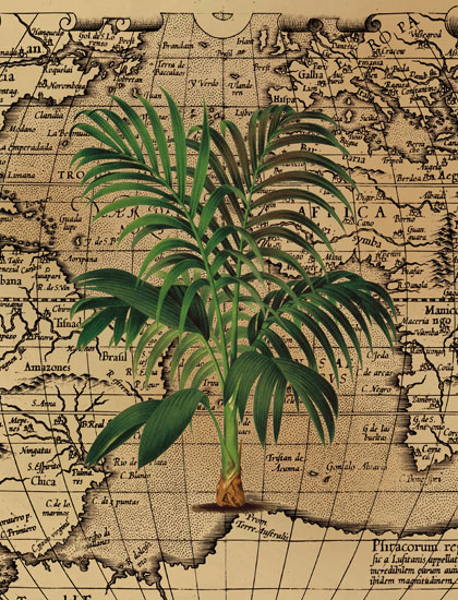 Compatible Blumen JAHRRIESNGE  for grass-lpf06841 