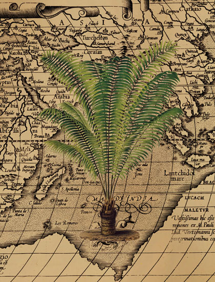 Compatible Blumen JAHRRIESNGE  for grass-lpf06842 