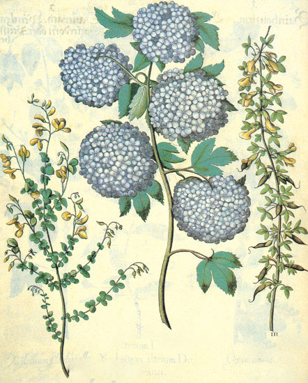 Compatible Blumen JAHRRIESNGE  for flowers-lpf06844 